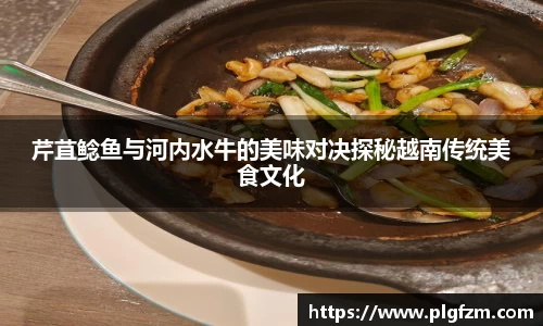 芹苴鲶鱼与河内水牛的美味对决探秘越南传统美食文化
