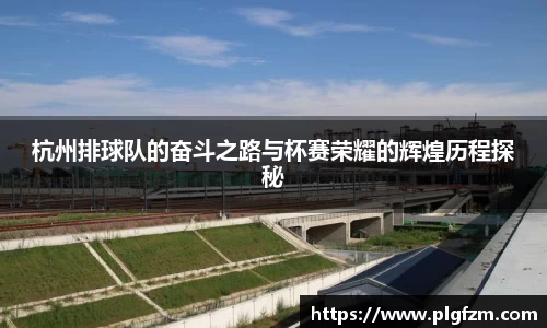 杭州排球队的奋斗之路与杯赛荣耀的辉煌历程探秘